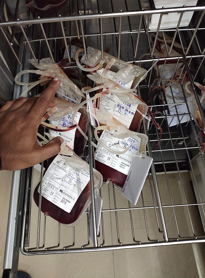 blood bank management system